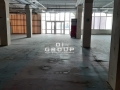 0005